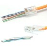 CONECTOR RJ45 CAT6 PASANTE CAJA60 209906